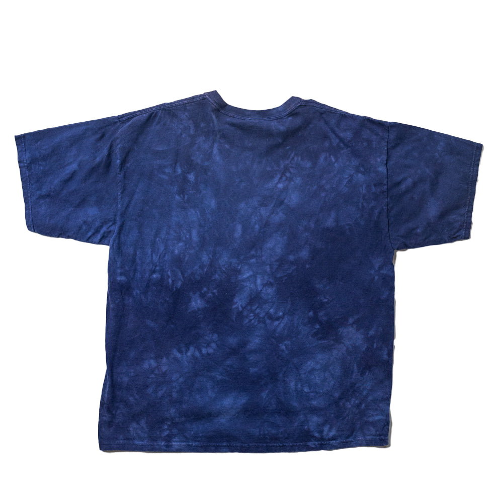 Fantasy the Mountain Vintage Tee