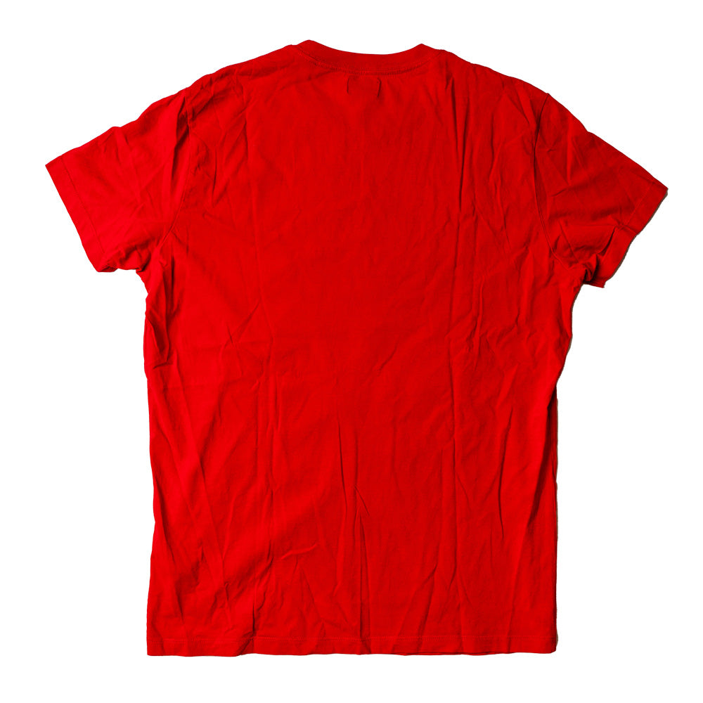 Diesel Skull Tee
